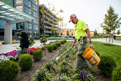 Eco-friendly pest control Coimbatore